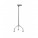 Walking Sticks
