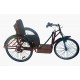 Active For All Battery Operated Tricycle For Handicapped Active For All Battery Operated Tricycle For Handicapped