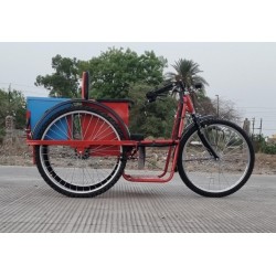 Battery Operated Handicapped Tricycle