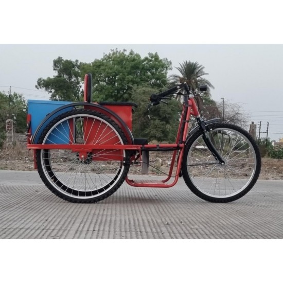 Battery Operated Handicapped Tricycle