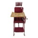 CP Chair with Food Table