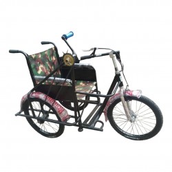 Compact Folding Handicapped Tricycle