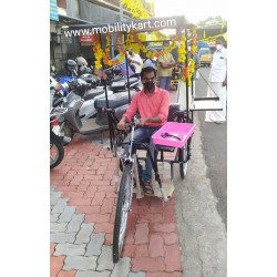 Self Employed Tricycle For Handicapped Self Employed Tricycle For Handicapped